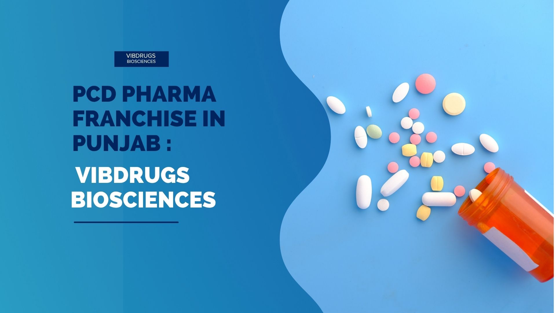 pcd pharma franchise in punjab blog image