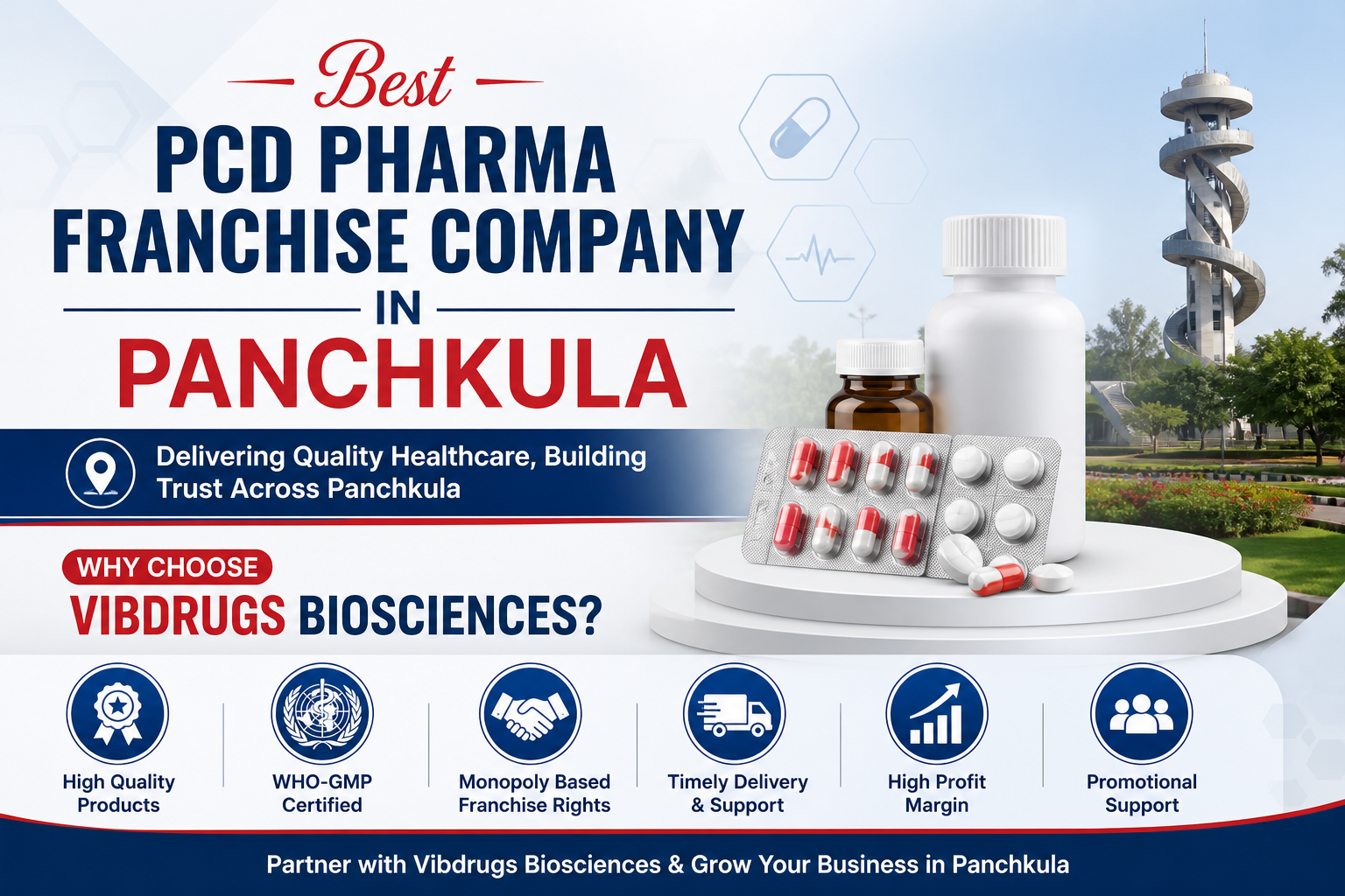 Best PCD Pharma Franchise Company in Panchkula Why choose Vibdrugs Biosciences?